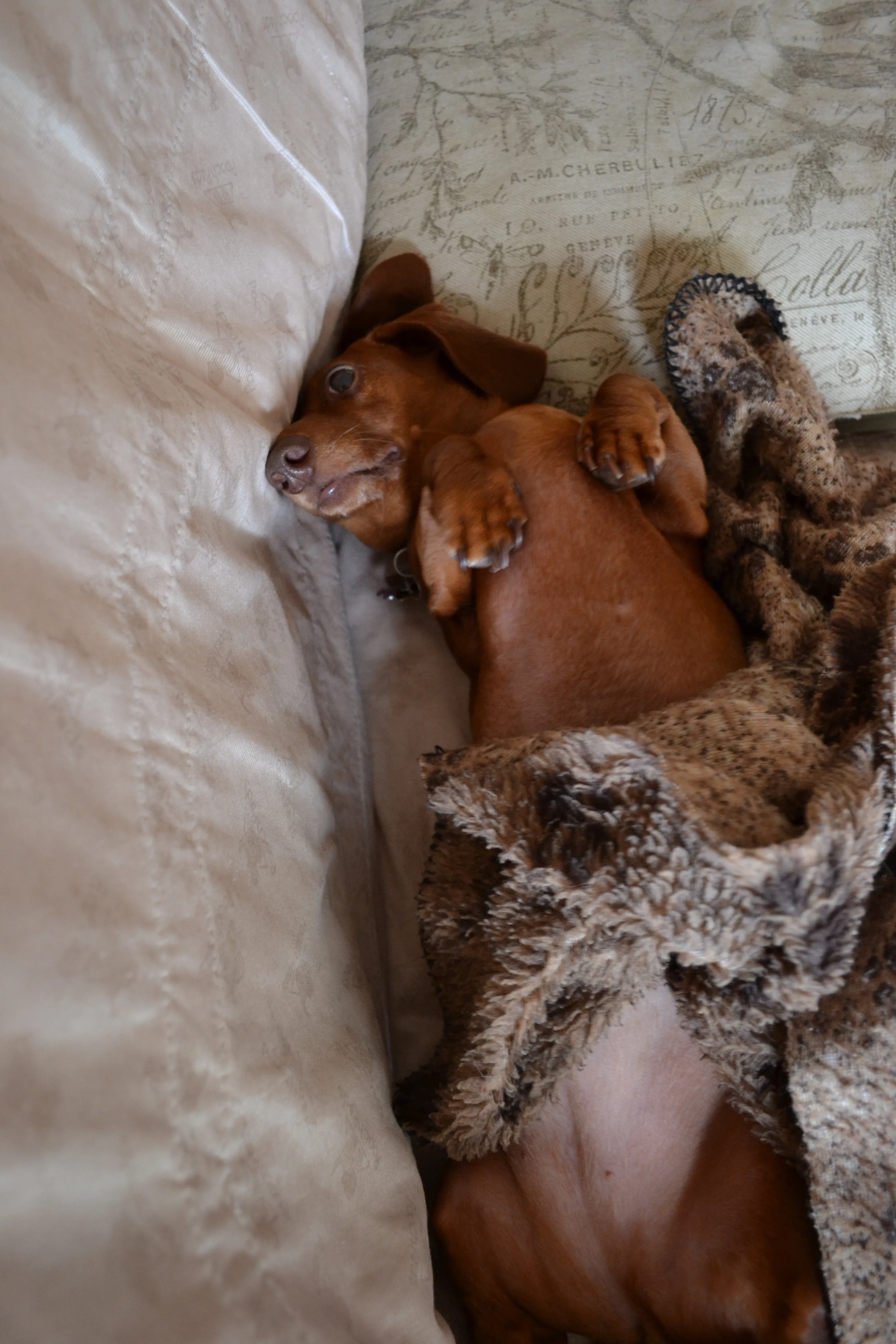 DSC_0009