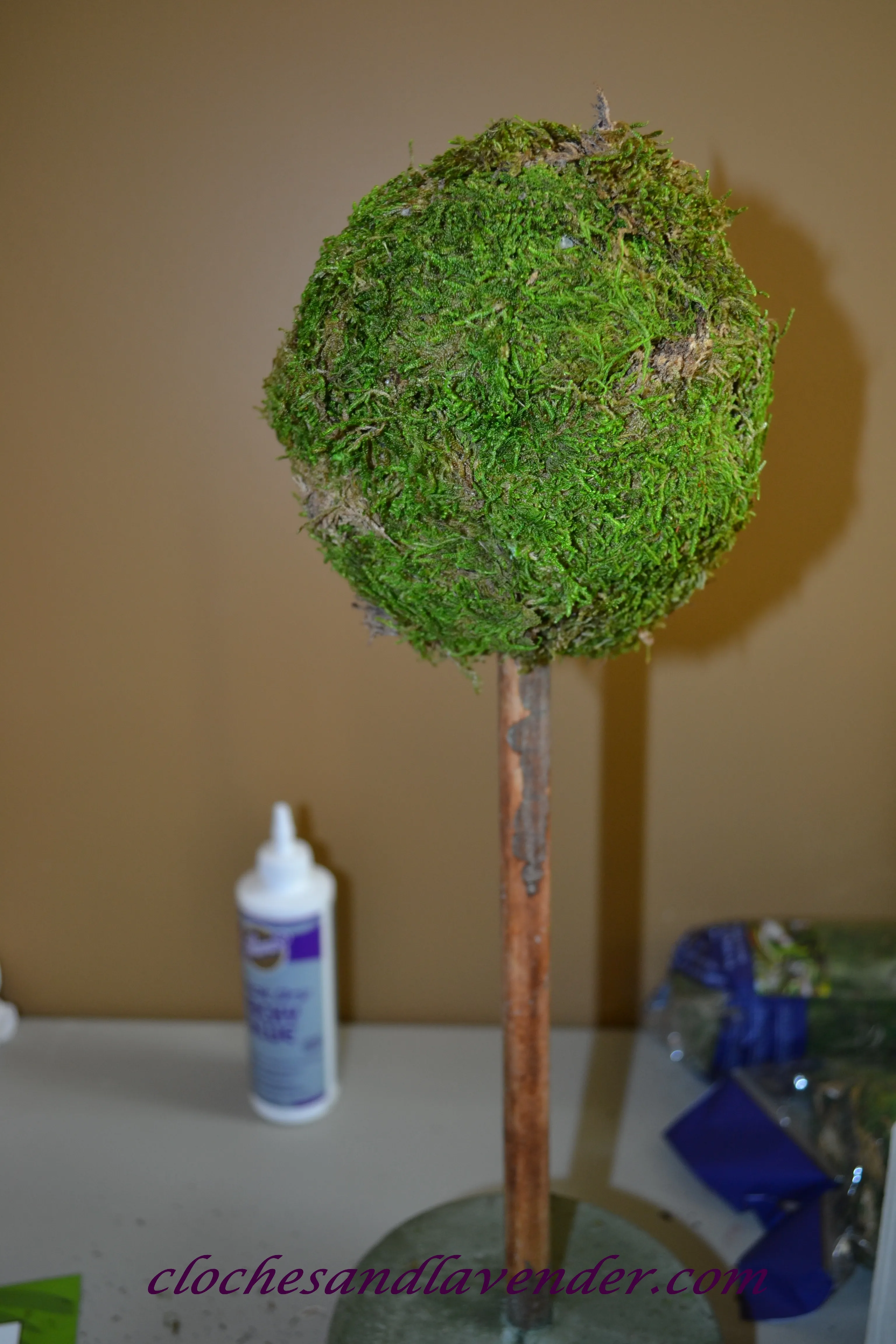 DSC_0017_wm.jpg