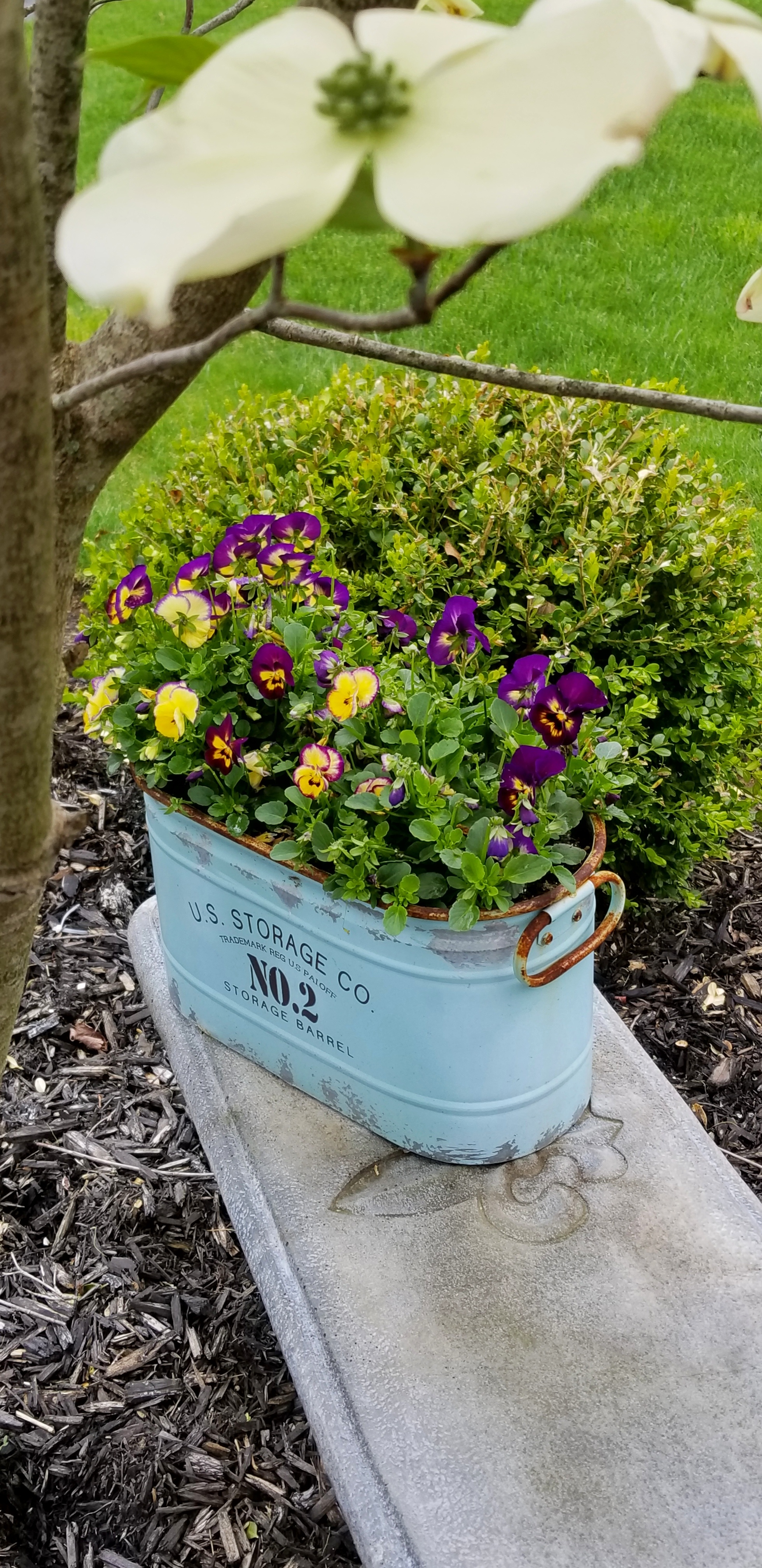 20190428_124758-01