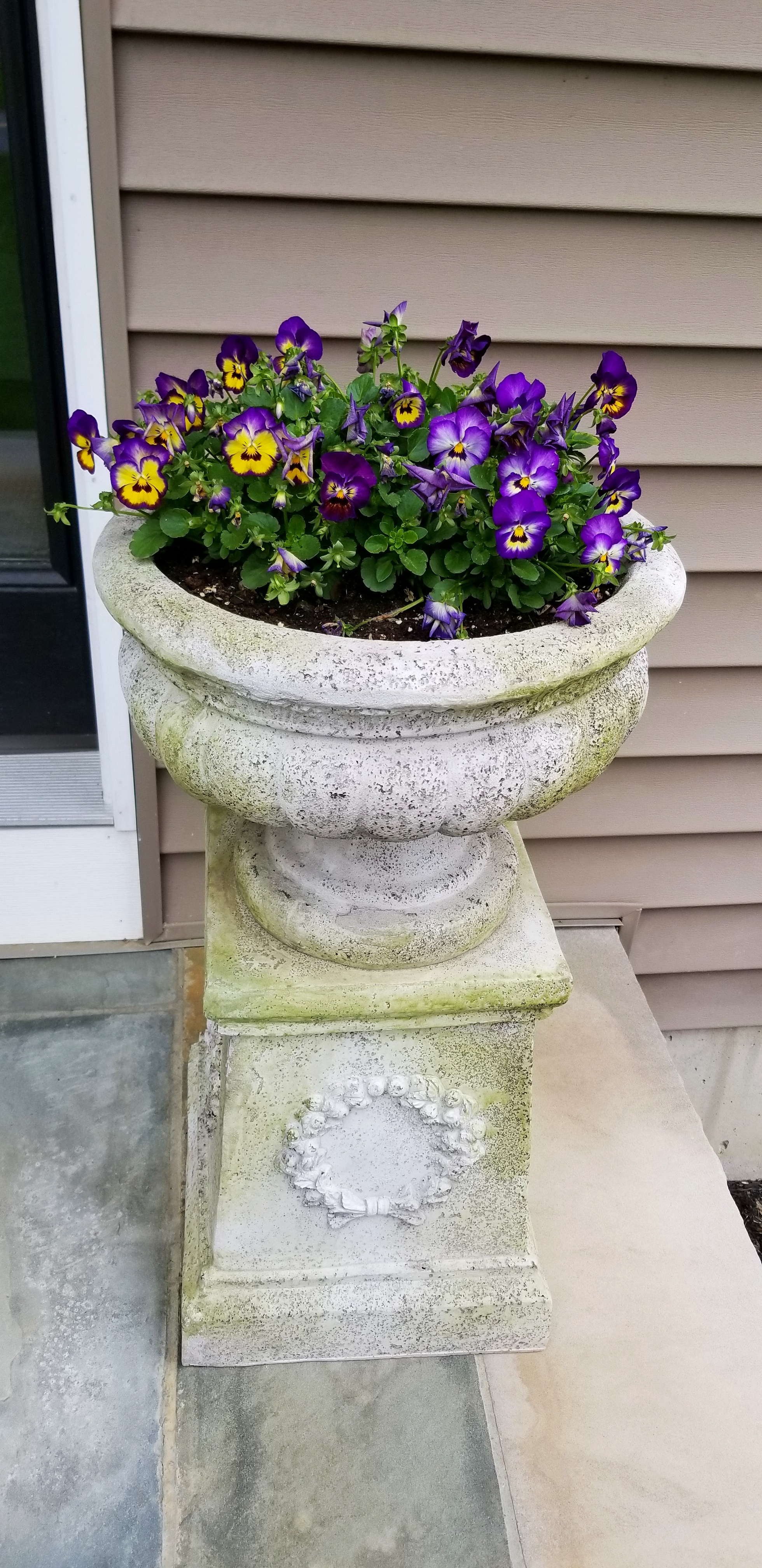 20190428_124846-01