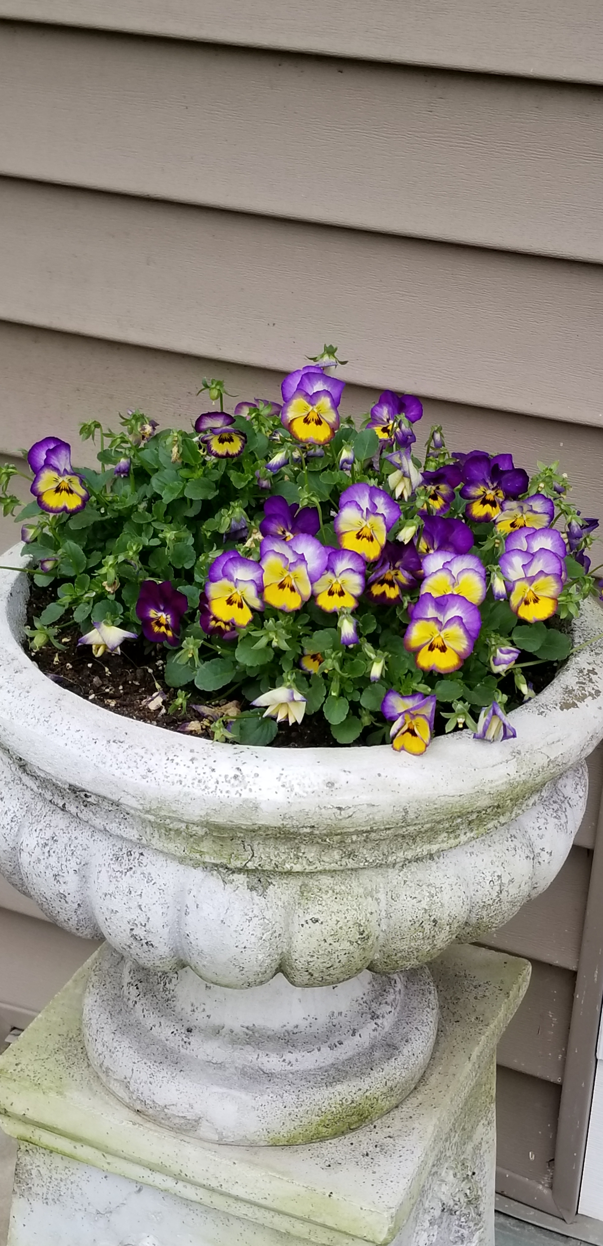 20190428_124908