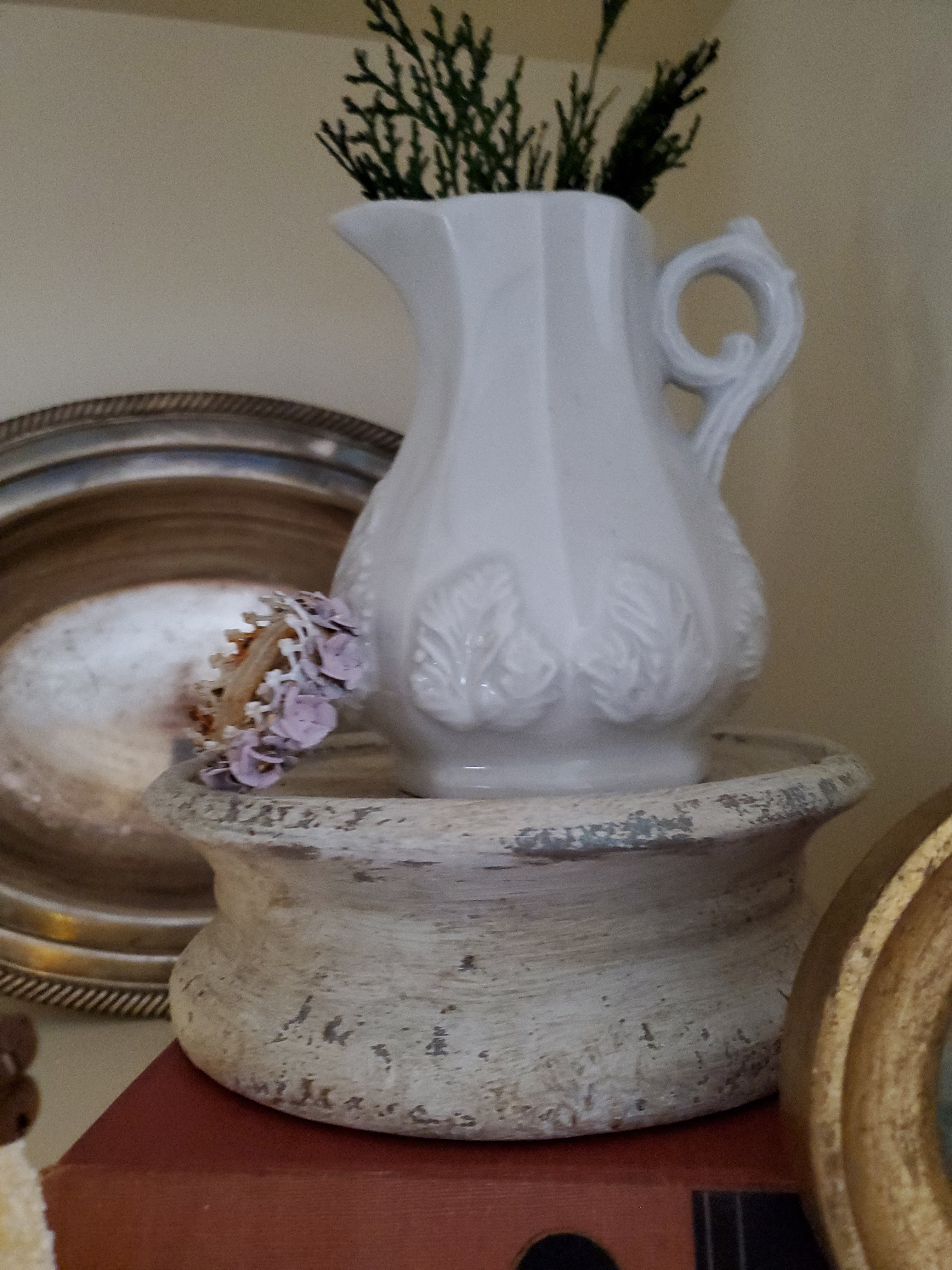 cedar inside a pitcher with a small crown