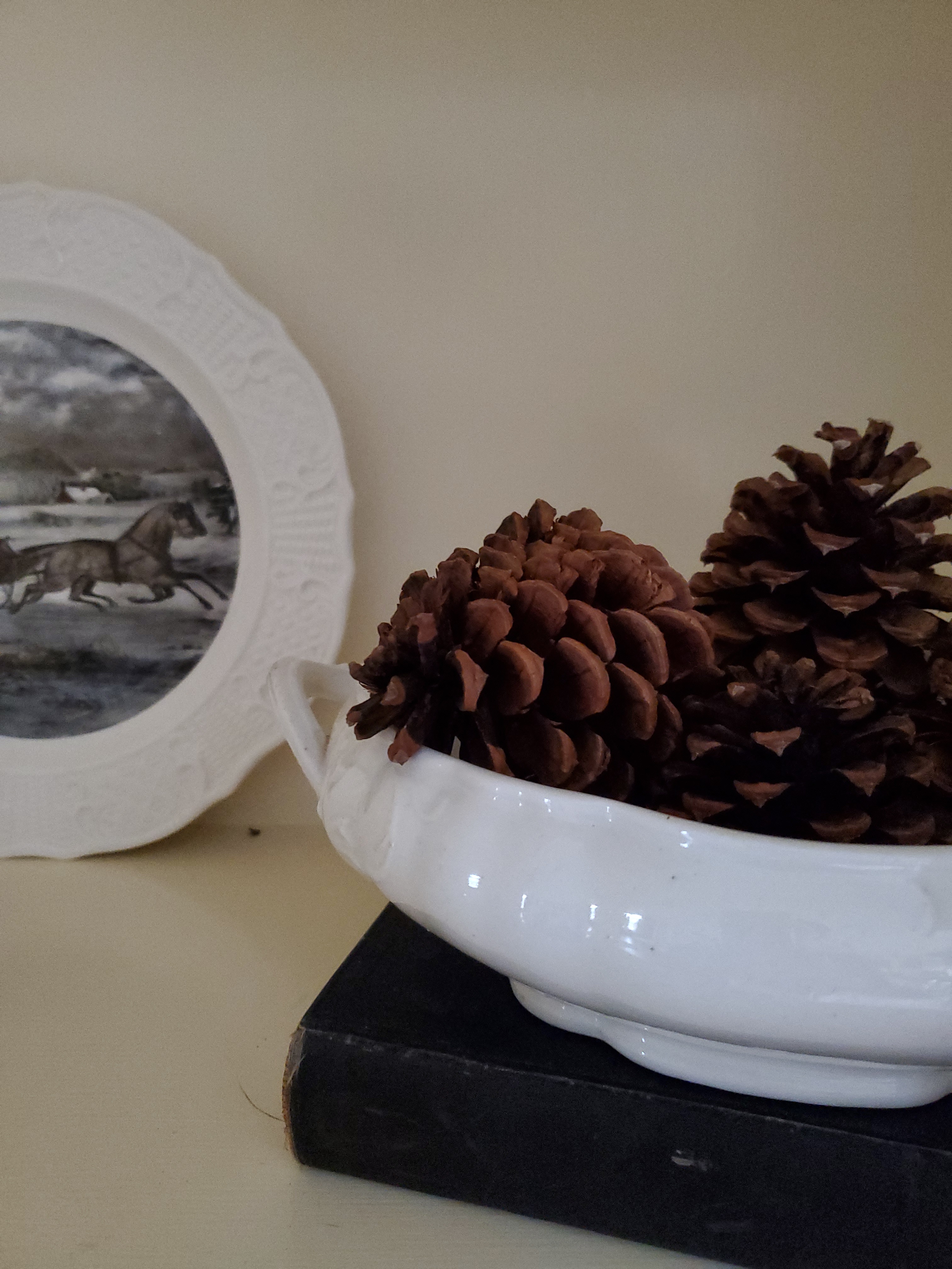 pinecones in a bowl