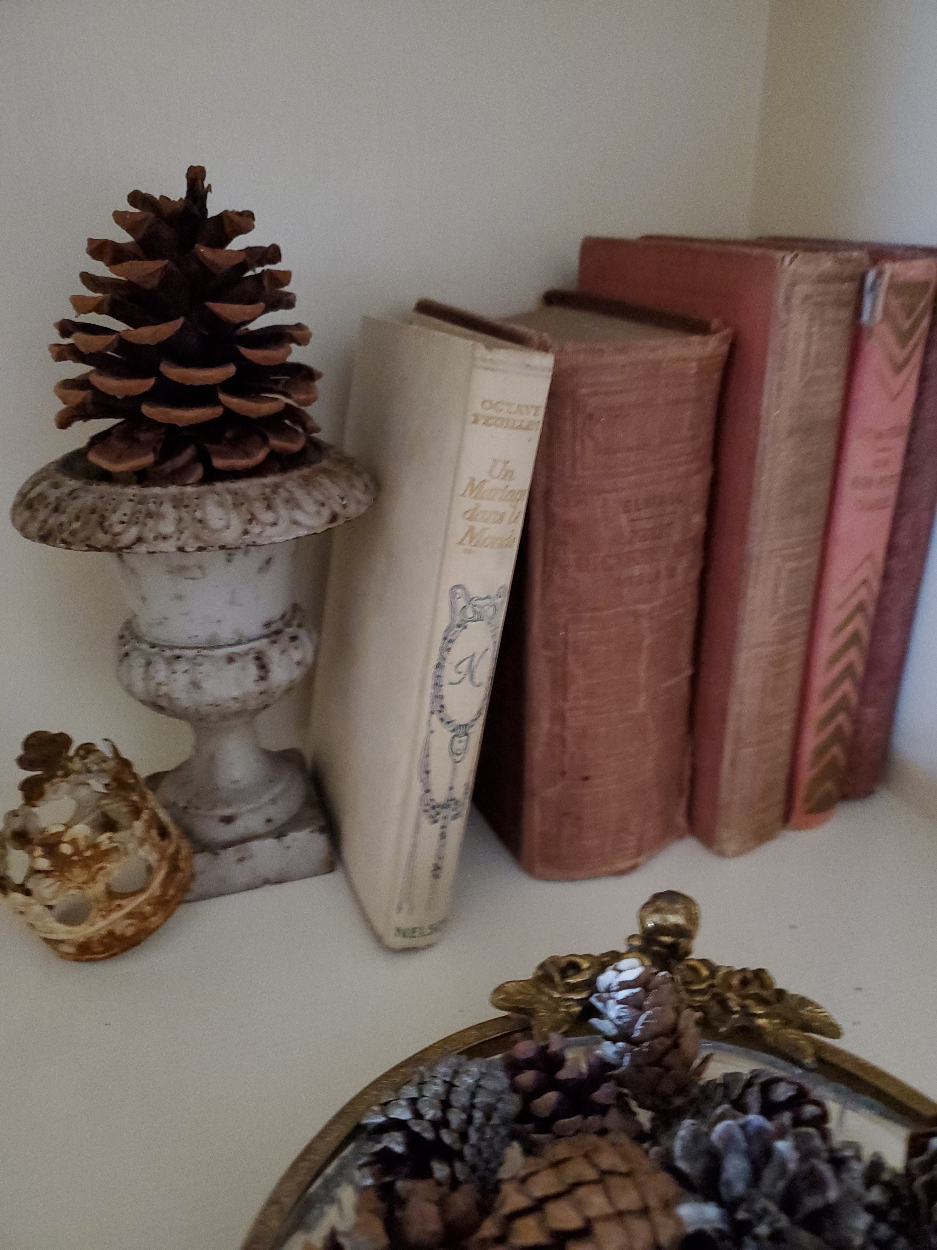 a closeup of the pink books pinecone in a small urn