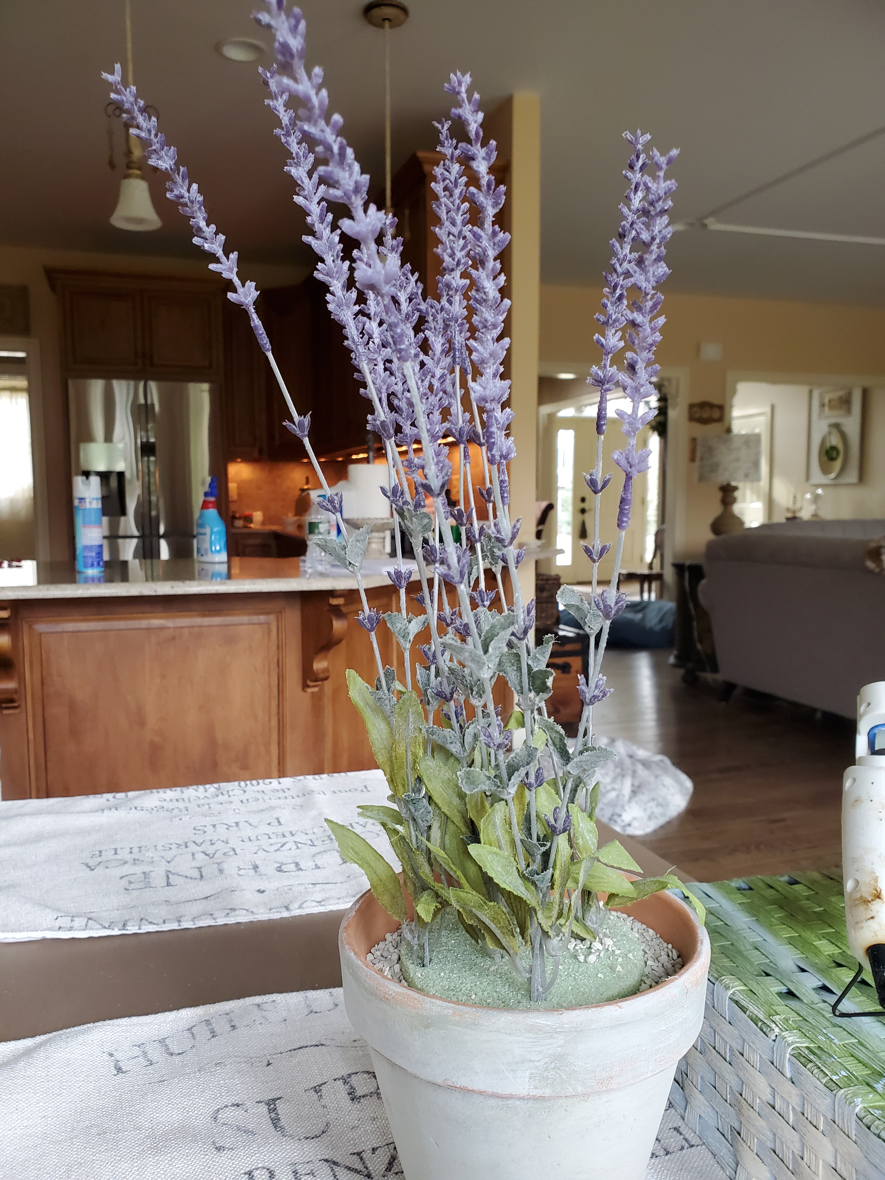 lavender knockoff stems getting added to the pot