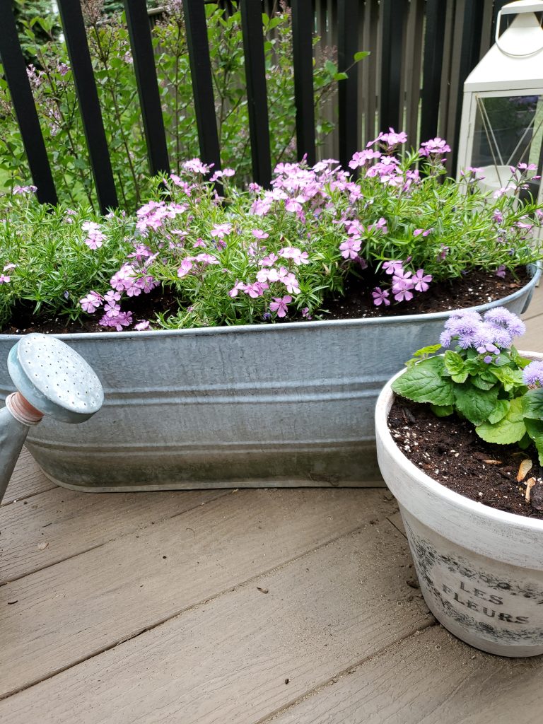 A Colorful Deck