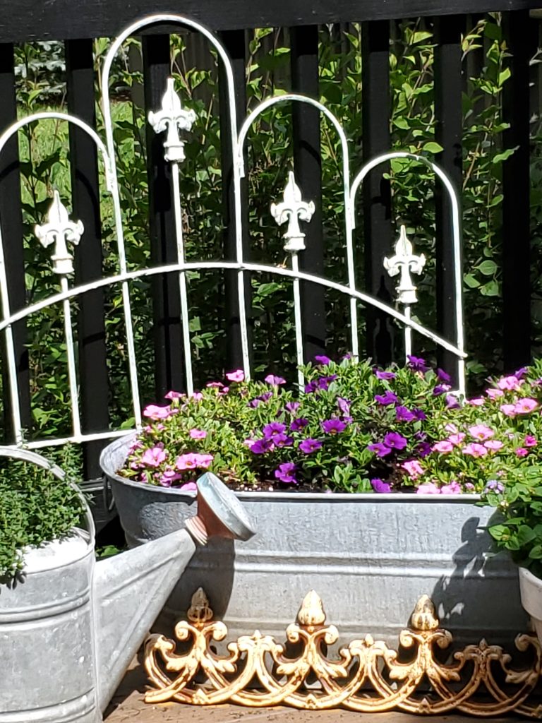 flowerpots with pink flowers