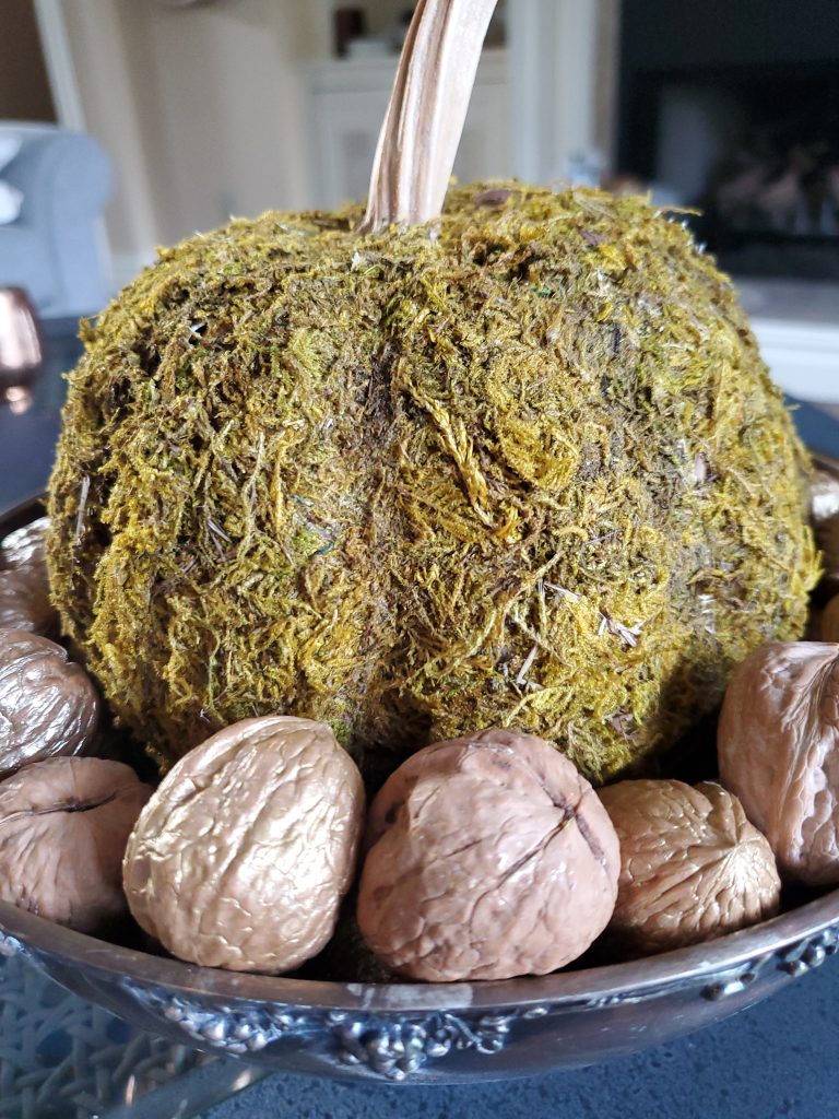 DIY Moss Pumpkin