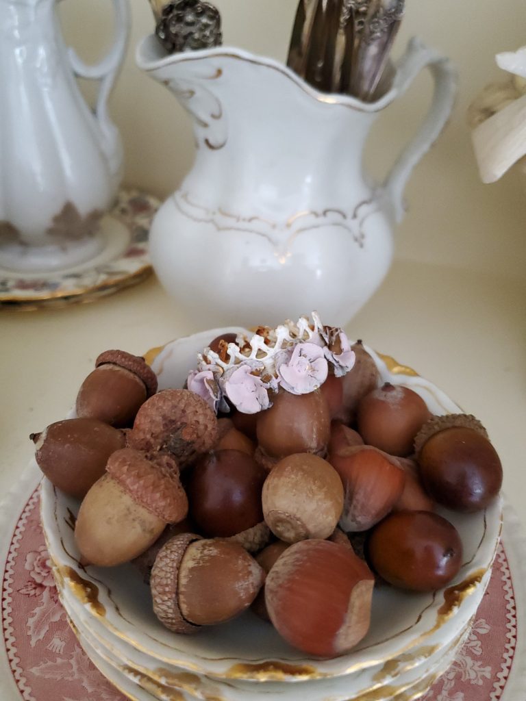 decorating shelves for fall real preserved acorns