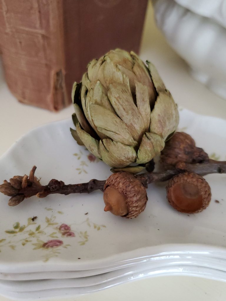 decorating shelves for fall dried artichoke and another preserved acorn branch