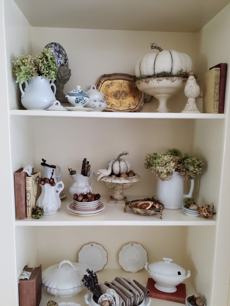 full shot of bookcase