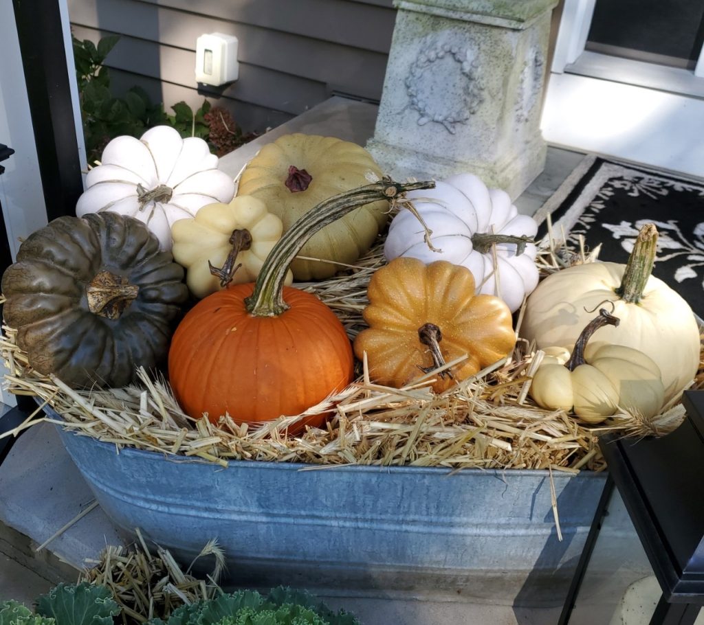 assorted pumpkins on our decorated fall front porch