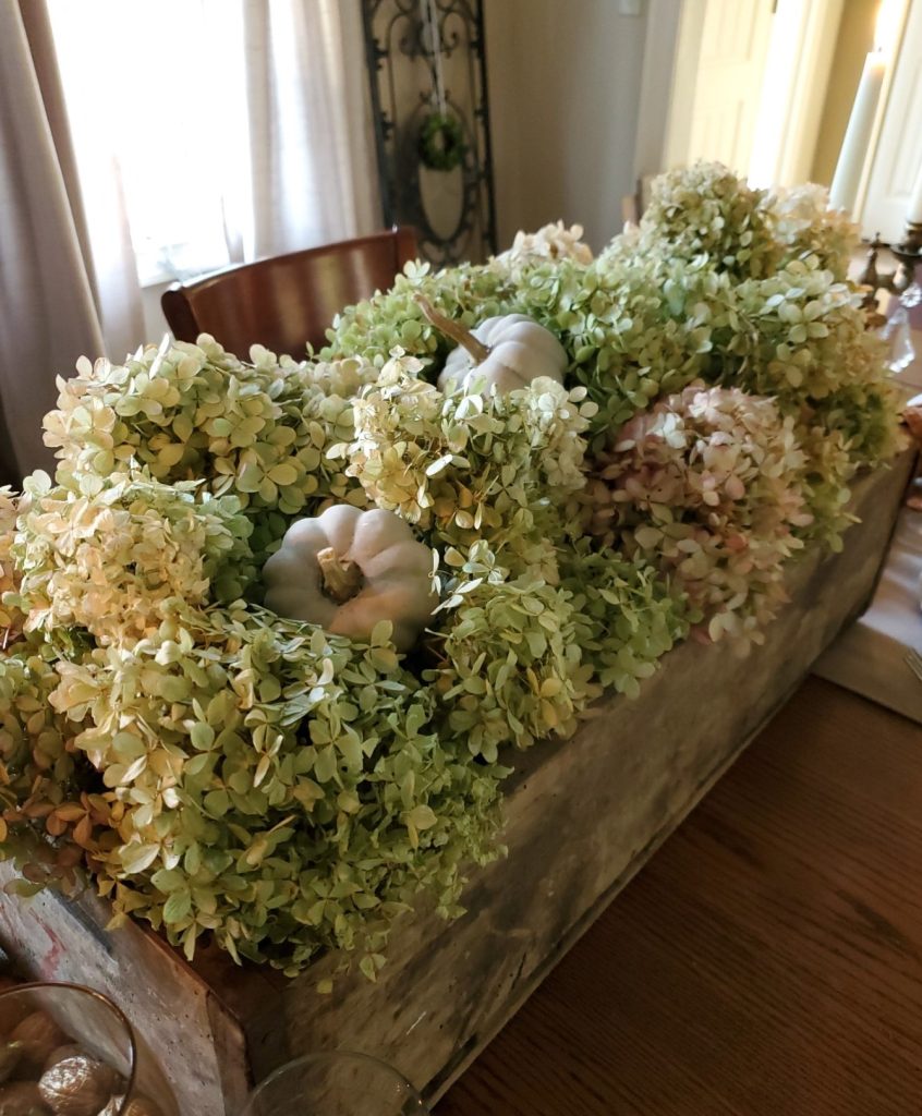 showing the small pumpkin in the dried hydrangeas