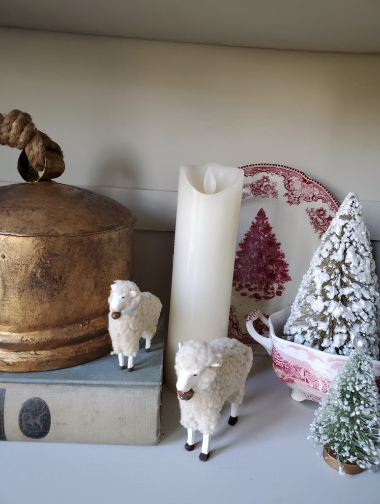 close up of sheep inside the hutch 