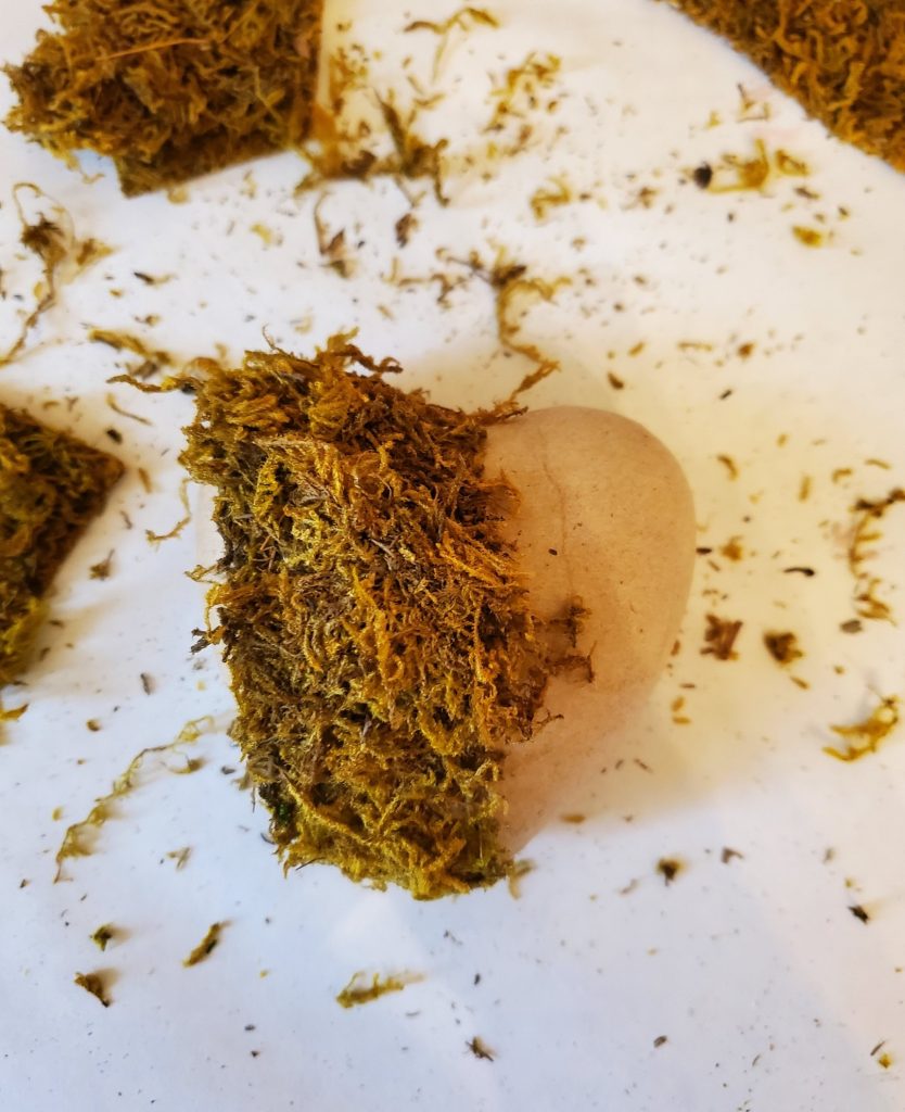 moss getting place on heart
