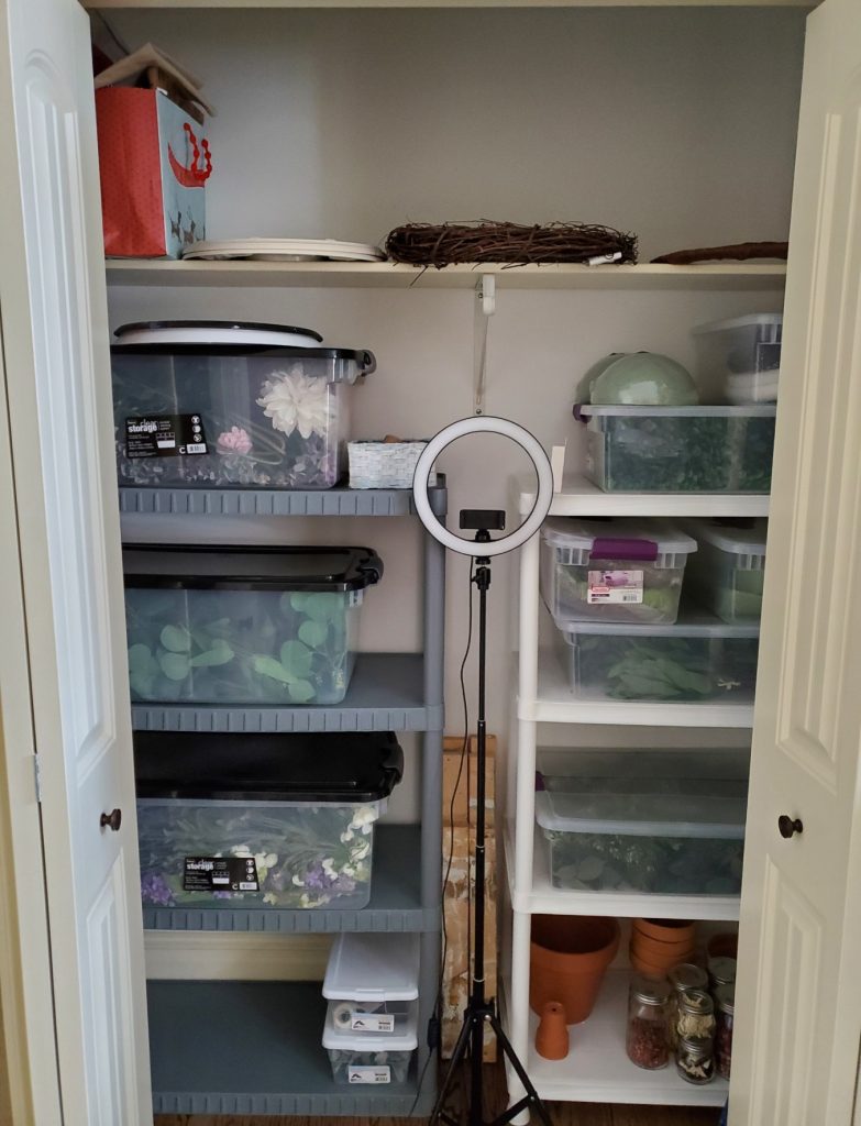 completely organized closet