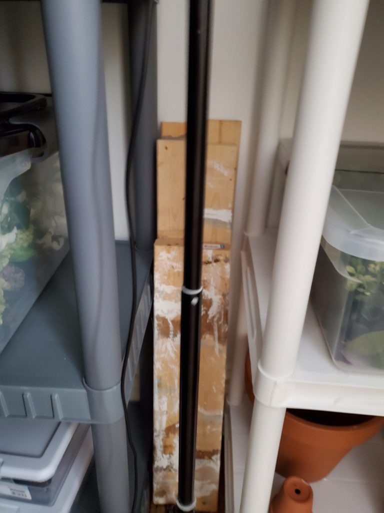wood for painting straightened up