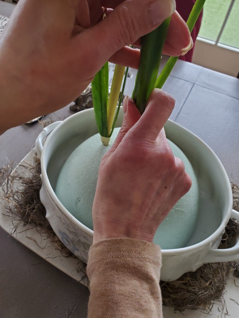 daffodil arrangement pushing stems in one at a time