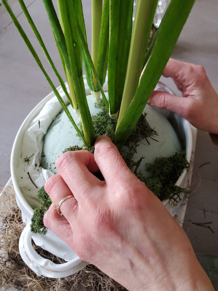 adding reindeer moss to the arrangement