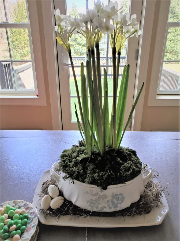 Daffodil Arrangements