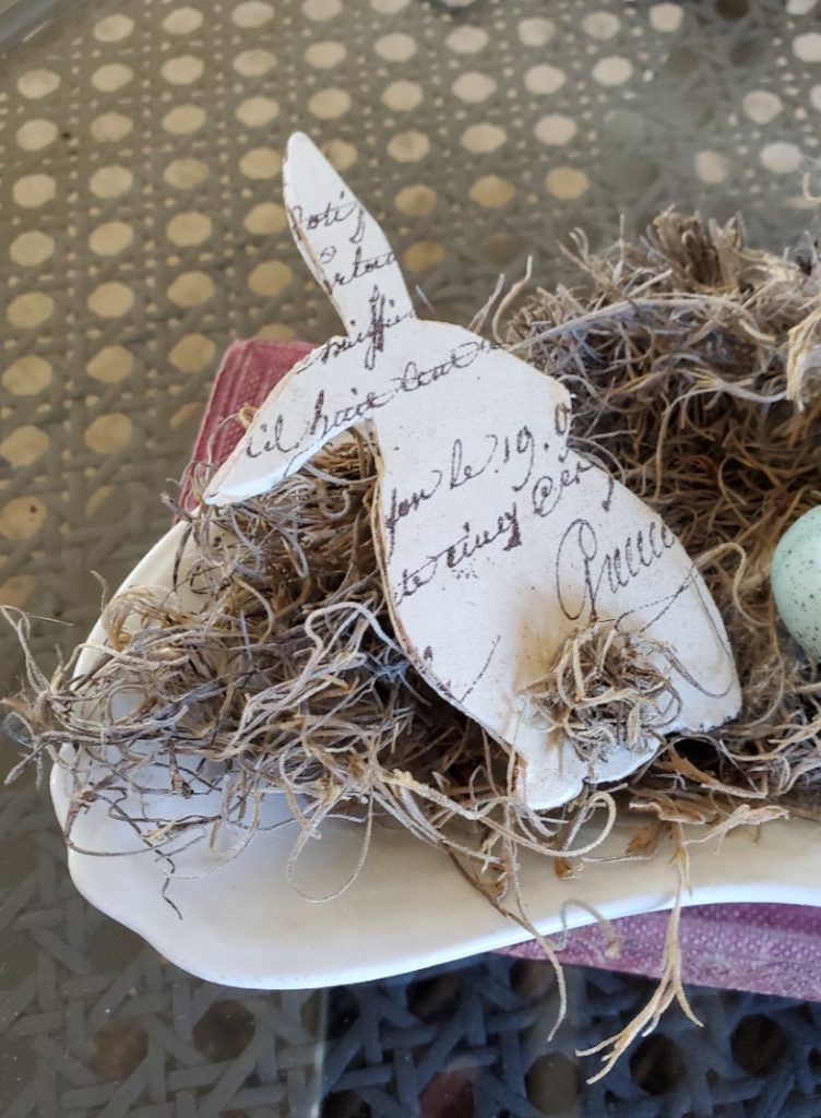 close up of the rabbit 