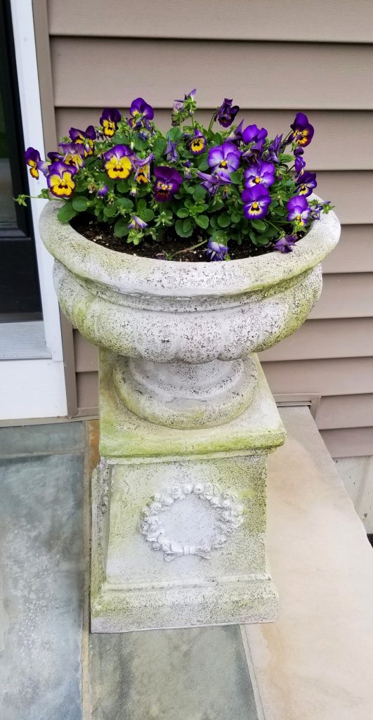 violas on the front porch inside an urn