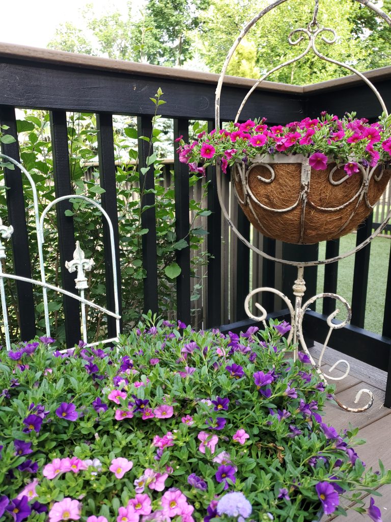 vintage hanging iron flower basket