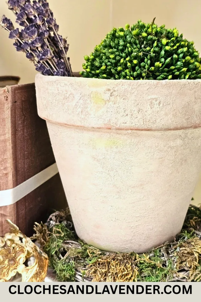AGE TERRACOTTA POTS WITH LIME PIN