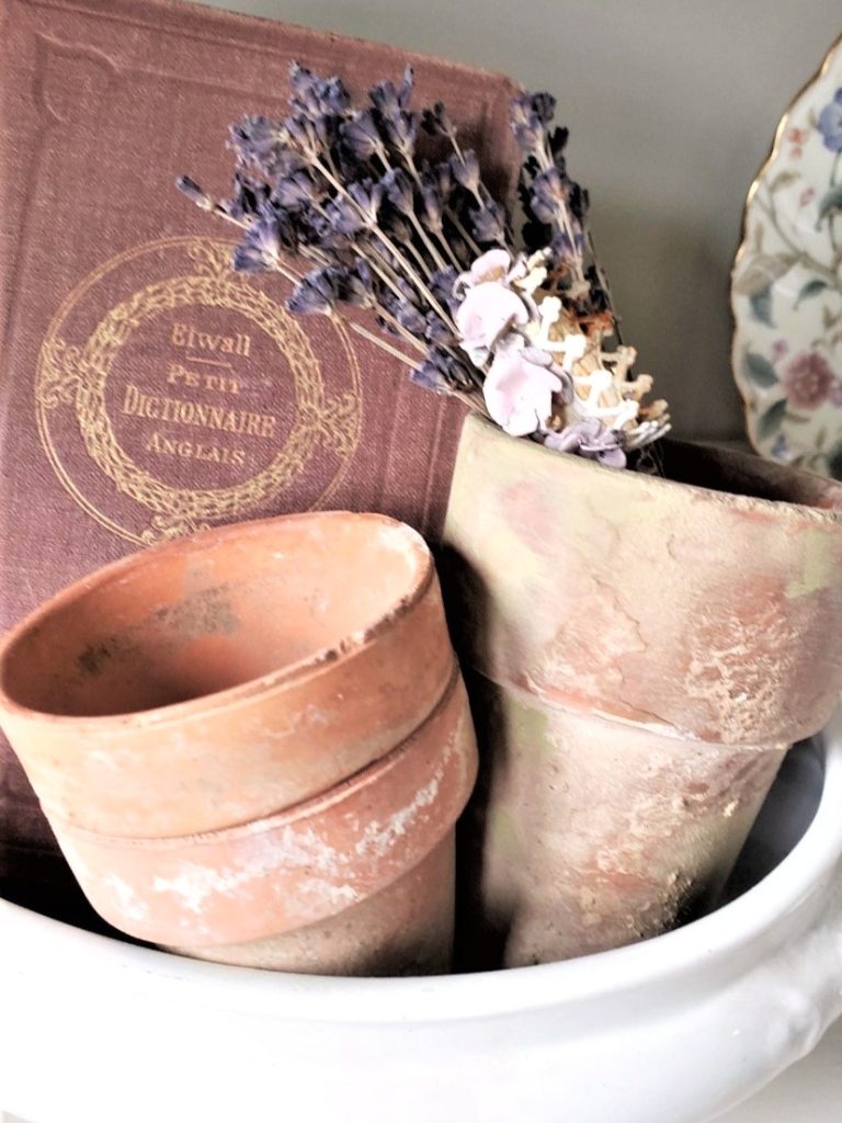 hurry-easily-age-terracotta-pots-using-lime-displayed-in-a-white-bowl-dried-lavender