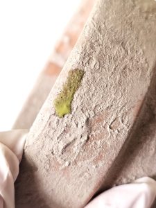 green-paint-added-to-pot