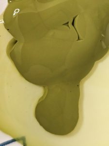 green-paint with-water-for-moss