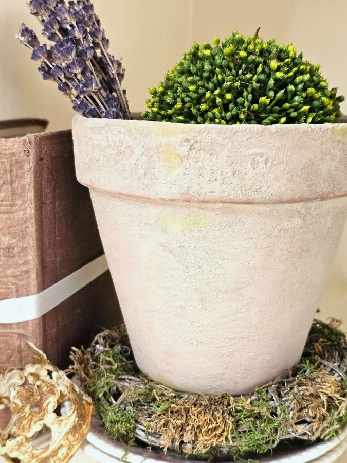 Hurry! Easily Age Terracotta Pots Using Lime
