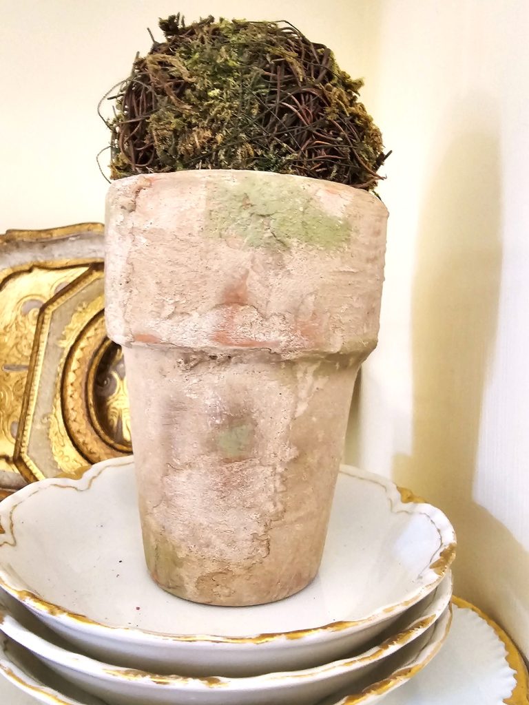 pot-with-moss-ball-on-dishes