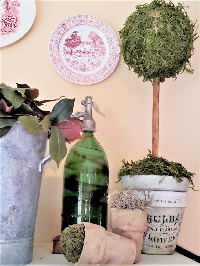 displayed-with-a-moss-topiary