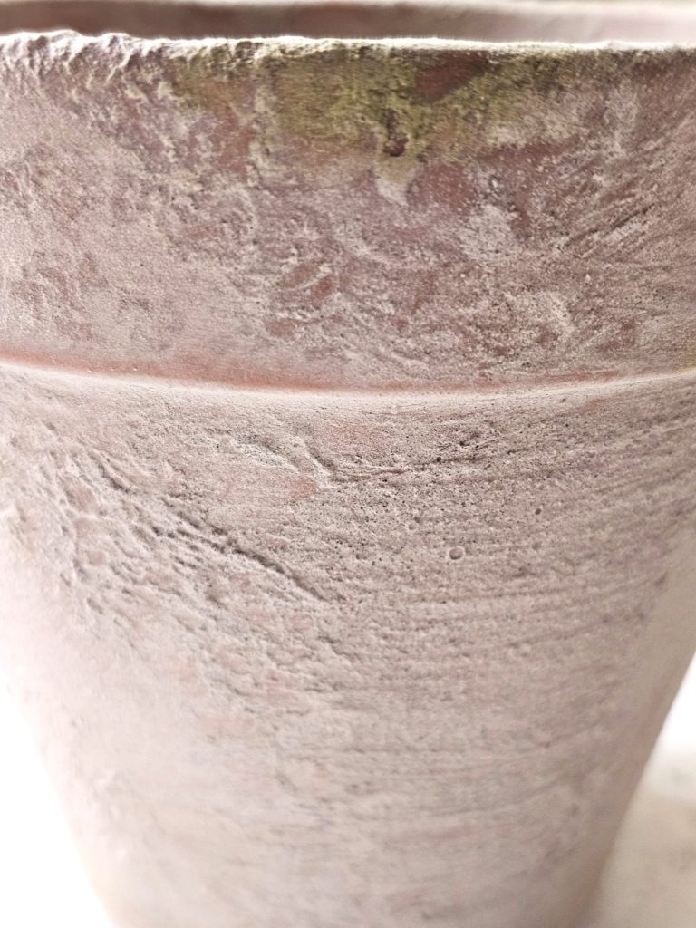 showing-moss-paint-close-up