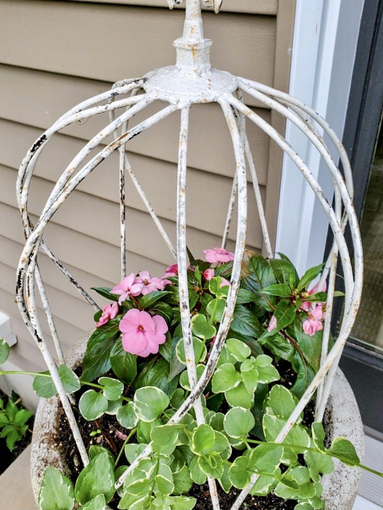 picture of pink flowers