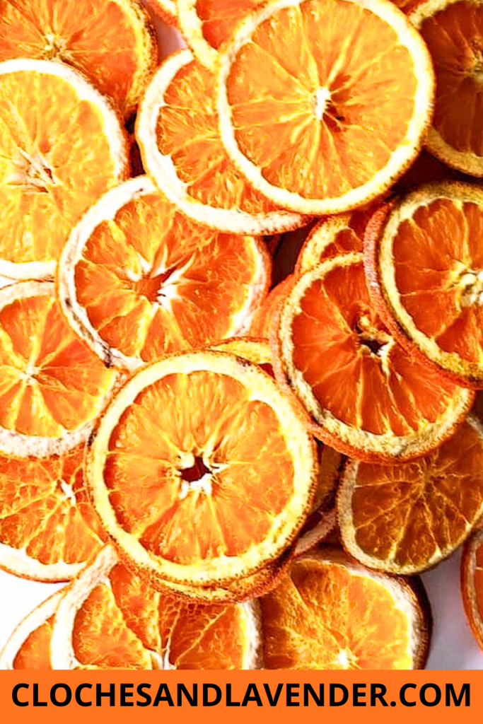 DRIED ORANGE SLICES PIN