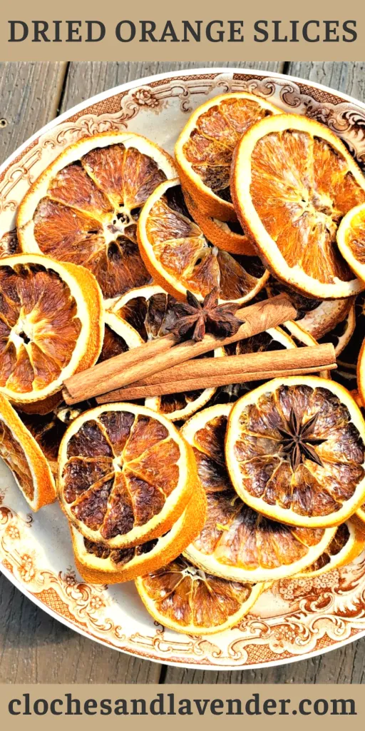 DRIED ORANGES PIN