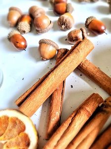 cinnamon-acorns