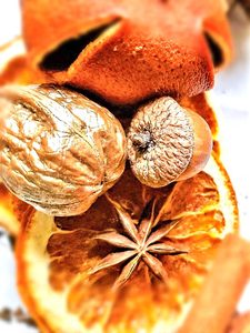 close-look-at-anise-walnut-and-acorn