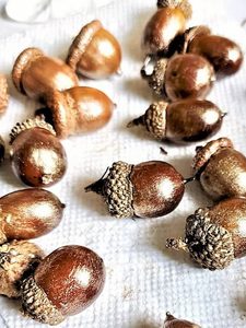 slightly-gilded-acorns