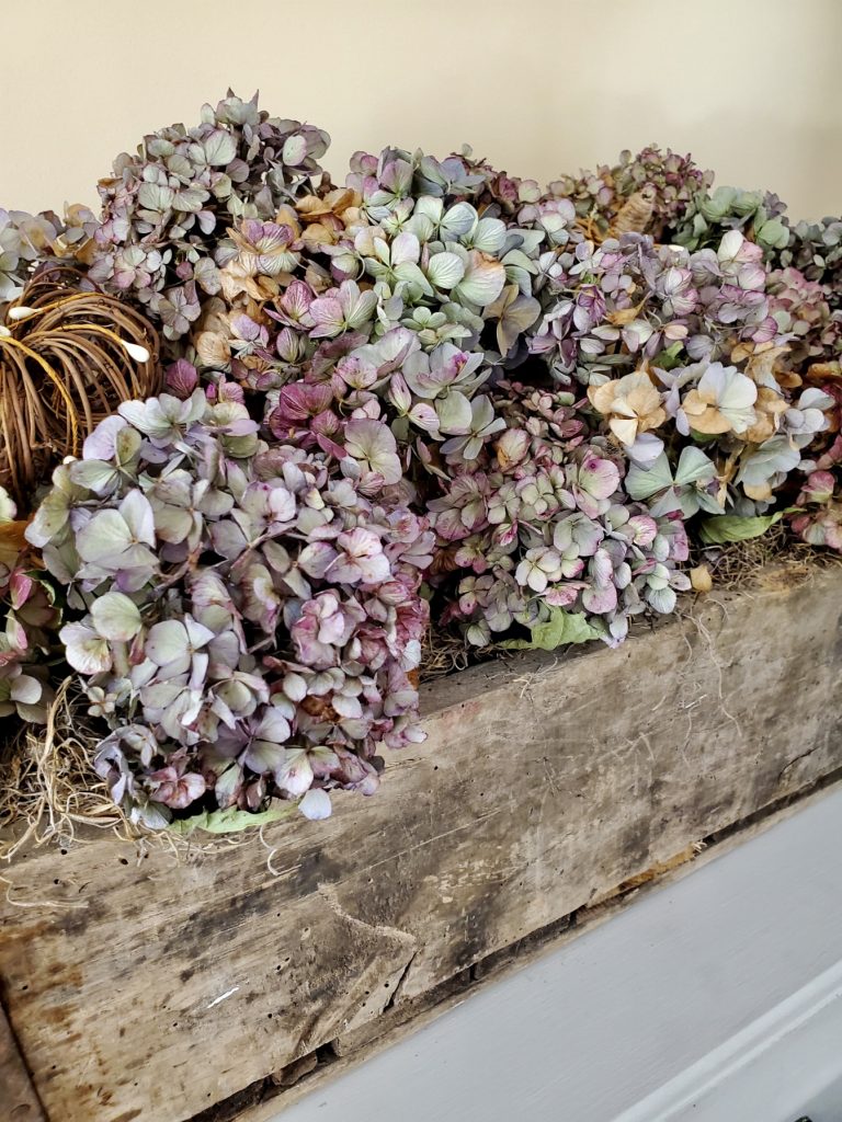 another close up of the dry hydrangea in the wooden crate