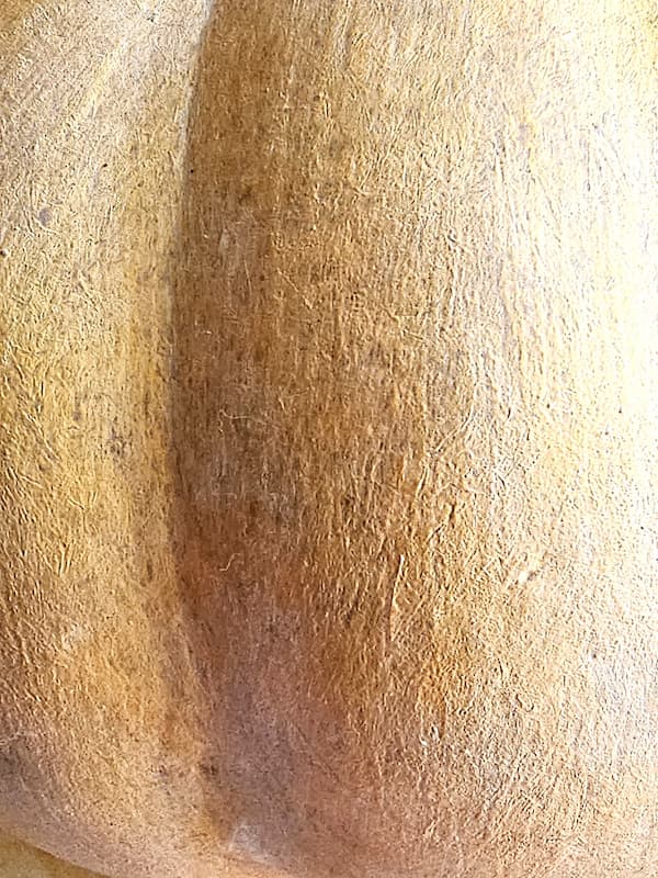 close-look-at-waxes-buffed