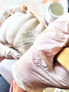 me-adding-a-dry-brush-white-color
