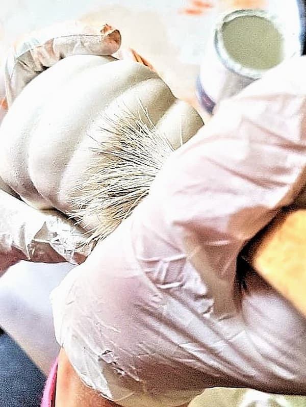 me-adding-a-dry-brush-white-color