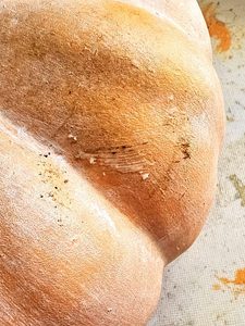 showing-waxes-added