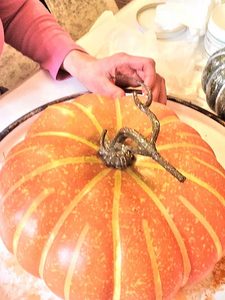 supply-pumpkin