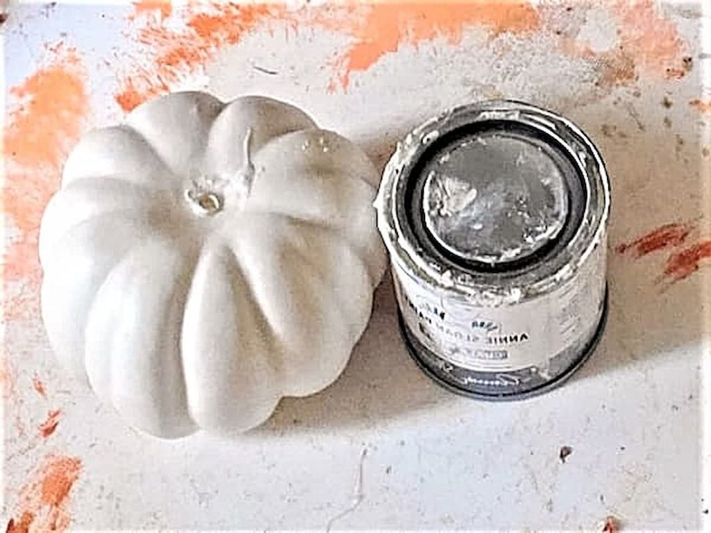 white-pumpkin-with-paint
