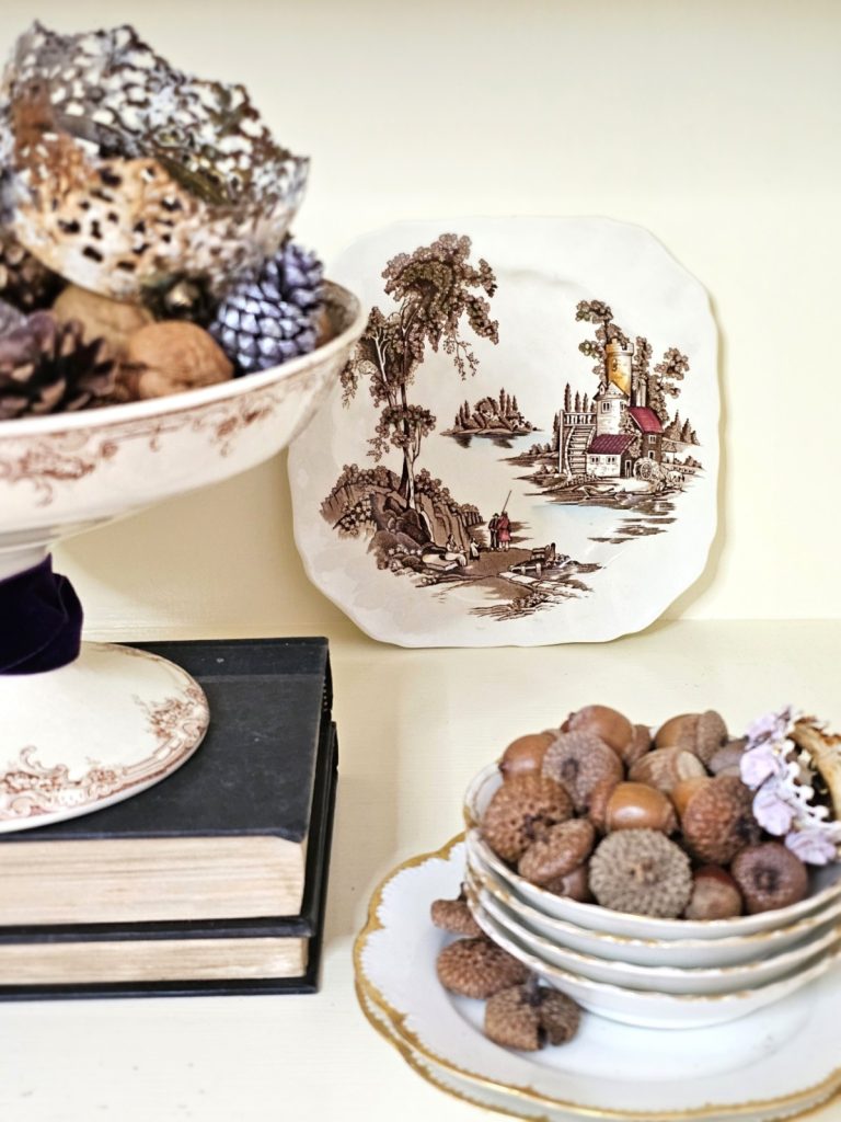 acorn-obsessed-in-a-small-bowl-with-small-pink-crown