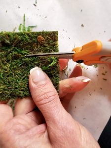 cutting-moss-strips